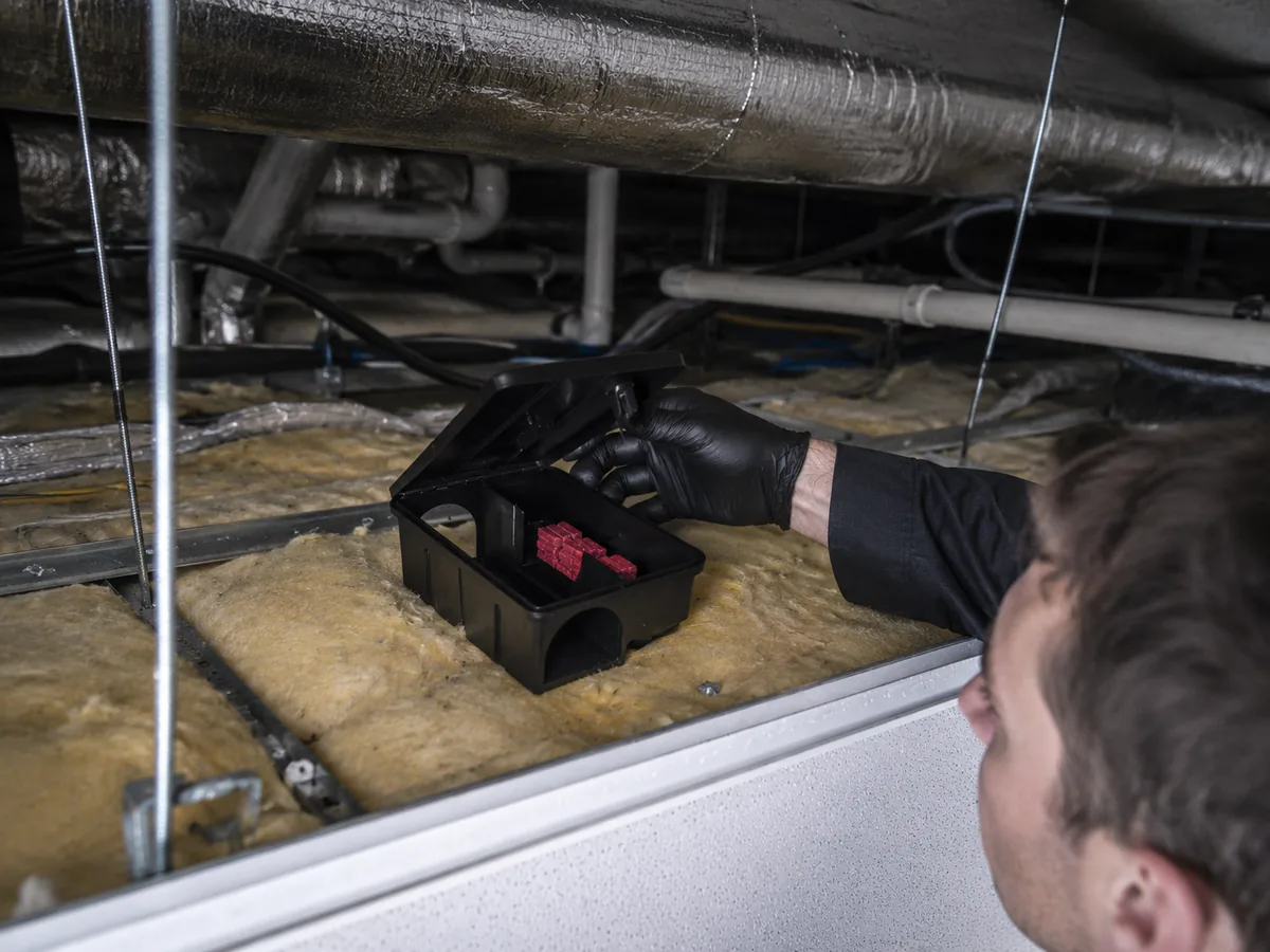 Técnico instalando un portacebos de seguridad en un falso techo registrable